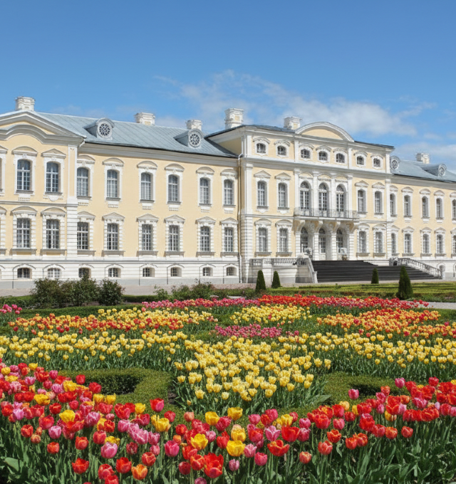 Tulpių žydėjimas Rundalėje ir triušių miestelis