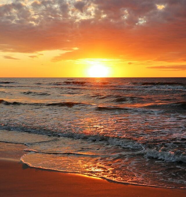 Rožių keliu į vargonų koncertą Jūrmaloje