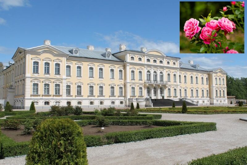 Rundalės sodo festivalis ir mini kruizas