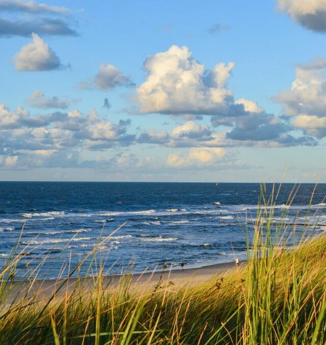 KOLEKTYVAMS Smėlio skulptūros Jelgavoje, didysis Kemerių raistas, Jūrmala