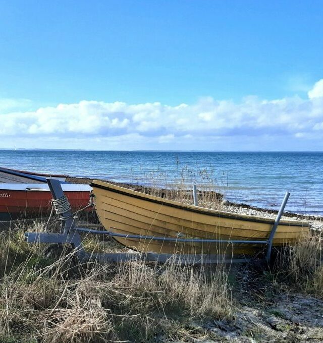 Kruizas Kuršių mariomis į Baltijos perlą Nidą