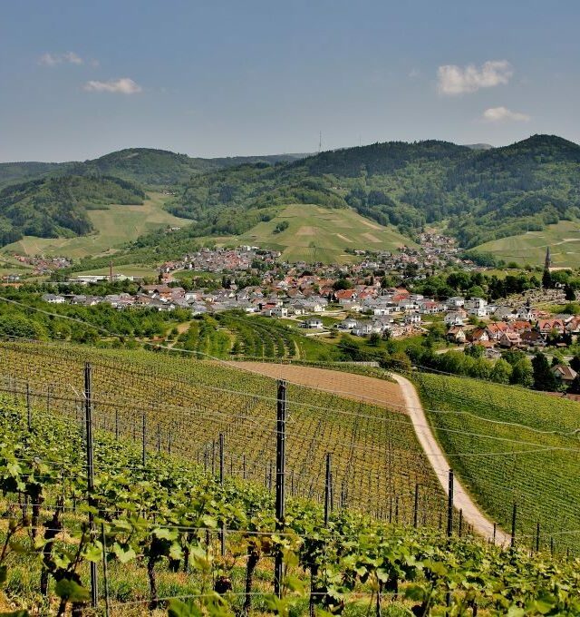 KOLEKTYVAMS Pažintinė - poilsinė Vengrija