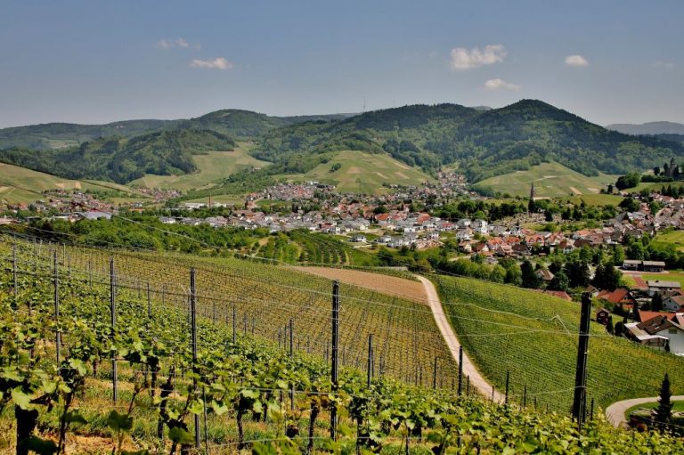 KOLEKTYVAMS Pažintinė - poilsinė Vengrija