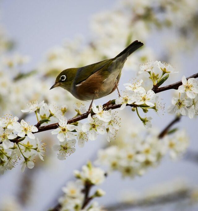 KOLEKTYVAMS Po dvarų, vienuolynų ir kitų įdomybių pilną Kelmės kraštą
