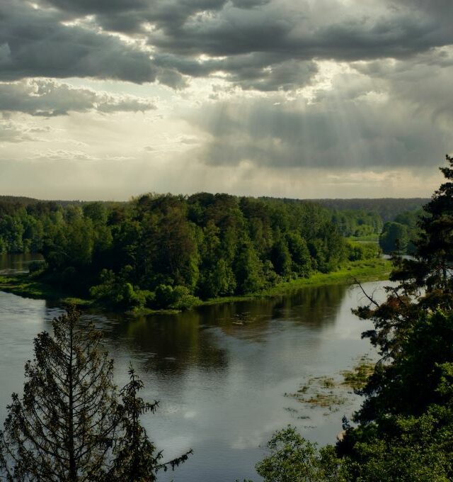 KOLEKTYVAMS Punia, Alytus, Žuvinto biosferos rezervatas, Druskininkai