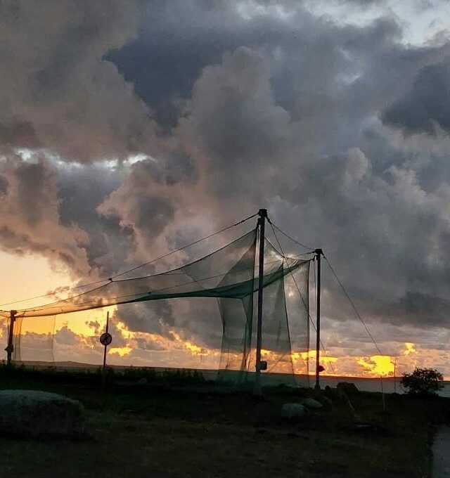 KOLEKTYVAMS Po lietuvišką Veneciją, kur gyvenimą kuria vanduo