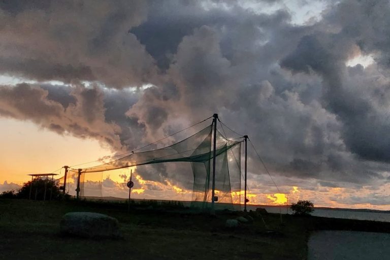 KOLEKTYVAMS Po lietuvišką Veneciją, kur gyvenimą kuria vanduo