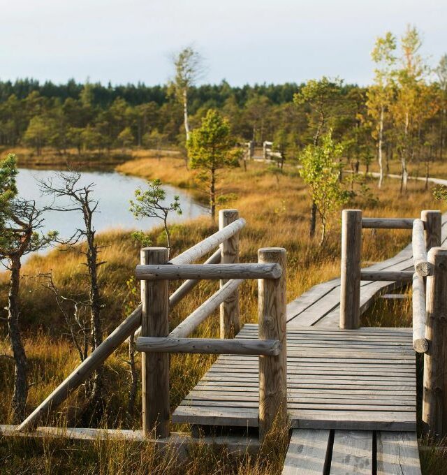 Jūrmala, Kemerių raistas ir plaukimas laivu Jelgavoje