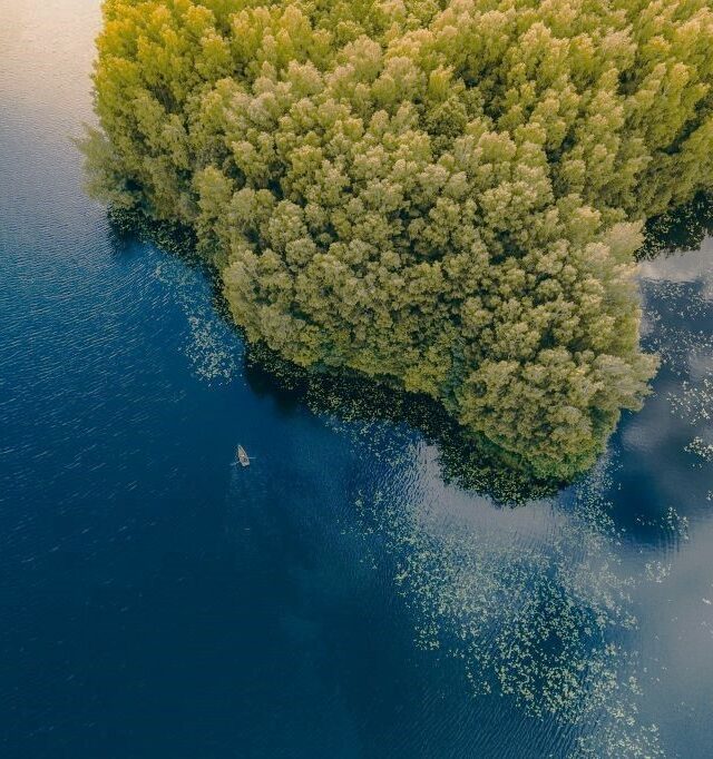 MOKSLEIVIAMS Telšių meškos ir Plungės bunkeris