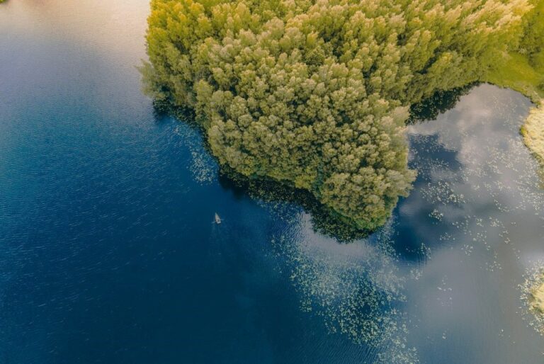 MOKSLEIVIAMS Telšių meškos ir Plungės bunkeris