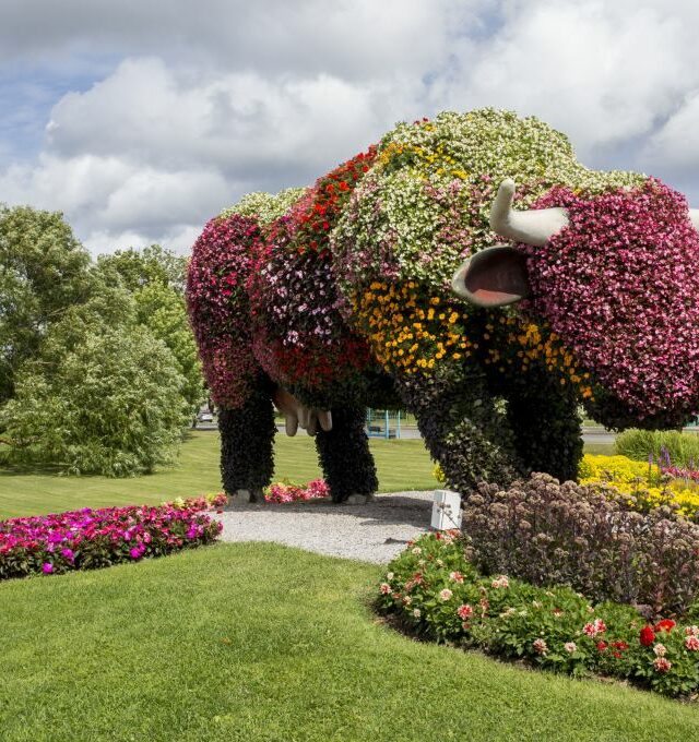 Latvijos perlai: Kuldyga ir Ventspilis