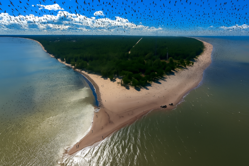 Kelionė į paukščių uostą Kolkos ragą Latvijoje