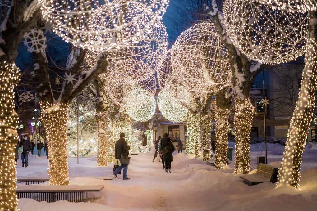 Naktinis zologijos sode Rygoje ir kalėdinė Ogrė