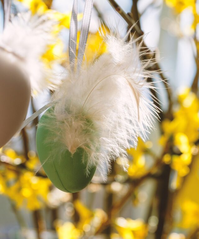 Mėmelando link: velykinės tradicijos ir skoniai